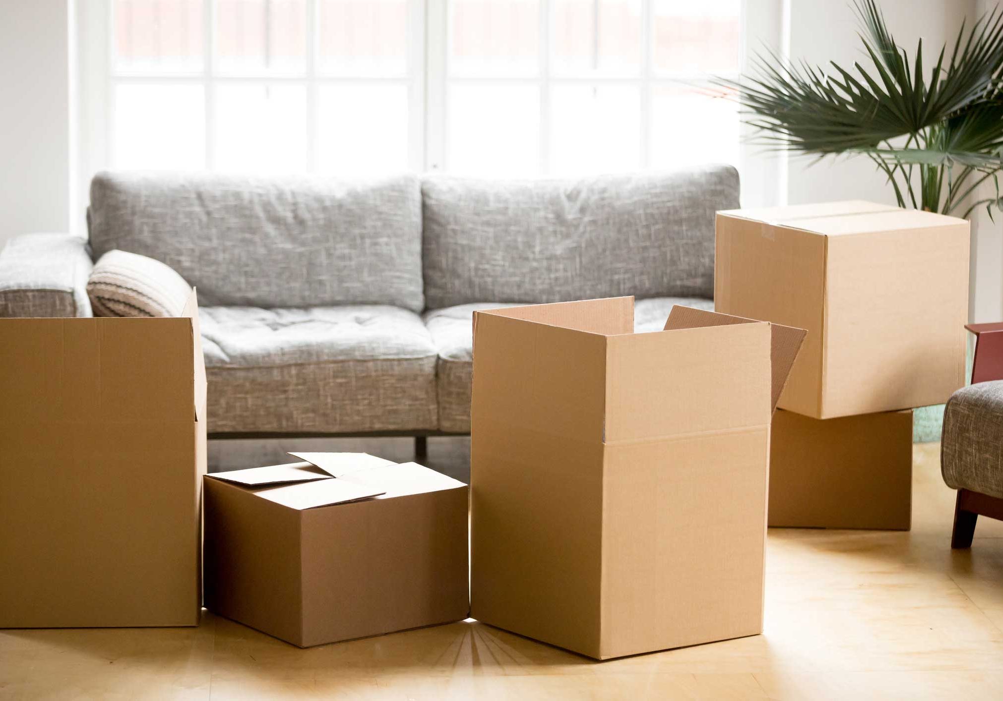 Cardboard carton boxes in living room, packing and moving concep